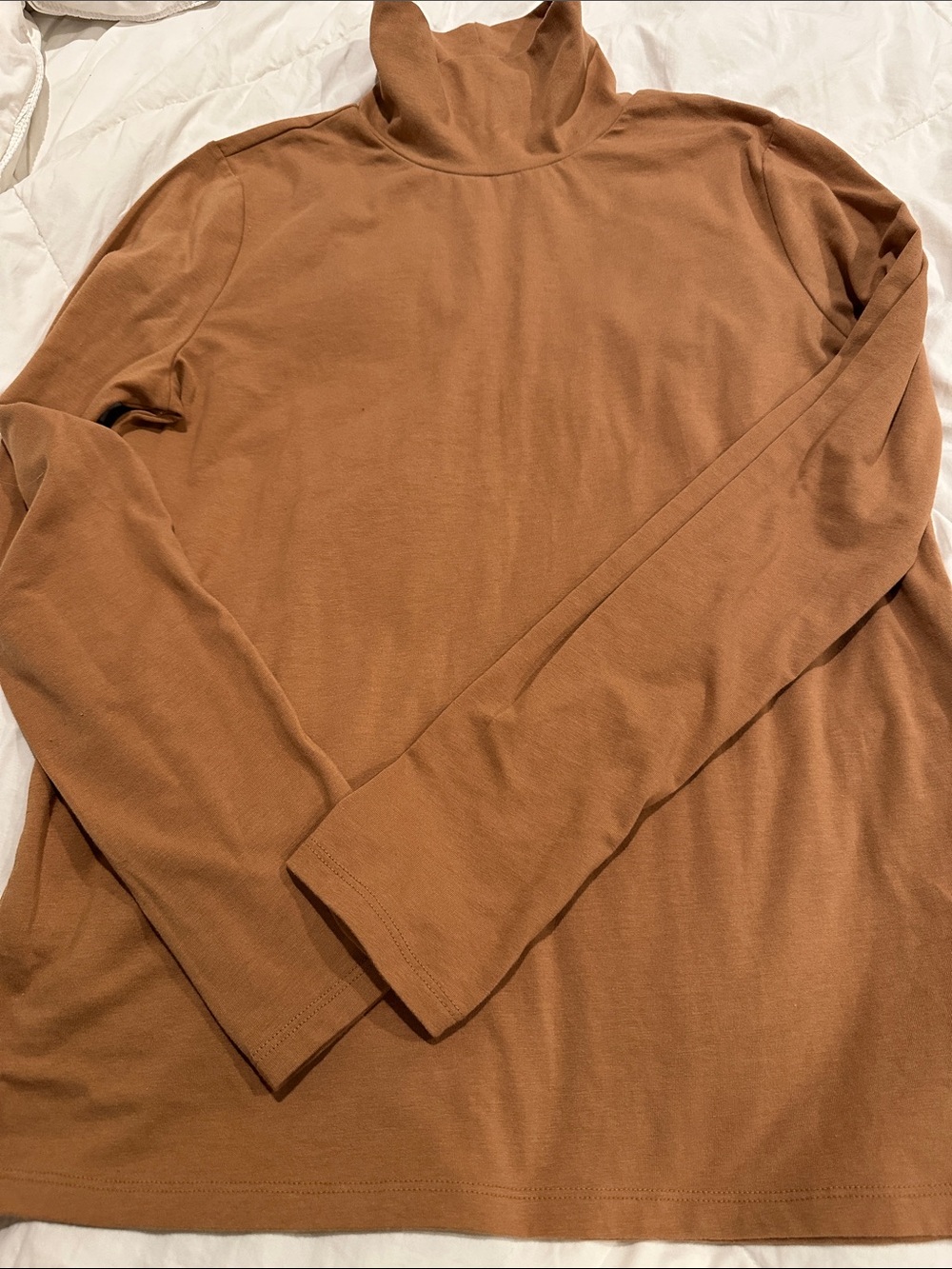 GAP Women's Brown Turtleneck Long-Sleeve Tee